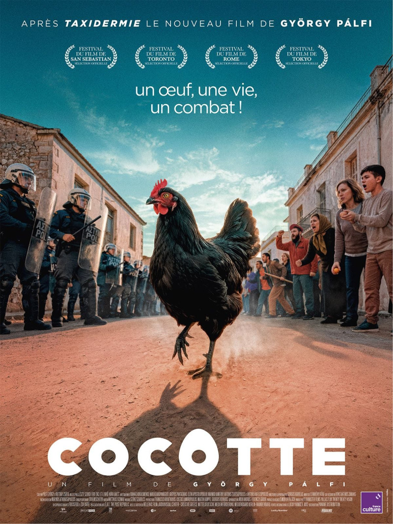 Cocotte - Pálfi György